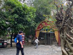 -瑞丽独树成林风景区