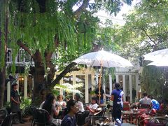 -Fern Forest Cafe