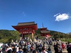 -有栖山 清光院 清水寺