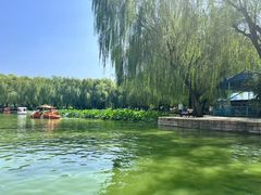 -团结湖公园