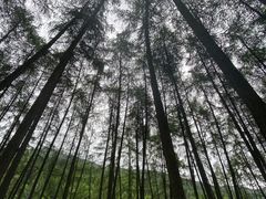 -硗碛藏寨·神木垒景区