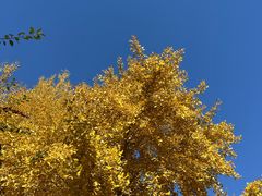 -辽宁大学(崇山校区)