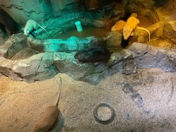 -酷嗒动物文化乐园(cutezoo西溪乐天城店)