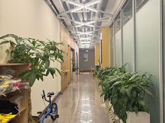 -勇气斑马·巴西柔术&跆拳道(浦东三林店)