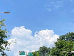 -城外有星光桥舍(南山店)