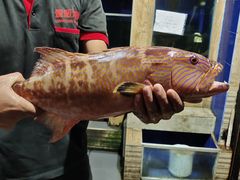 -量贩海鲜餐厅