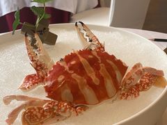 -潮府馆·非遗潮州菜·世纪公园(新国际博览中心店)