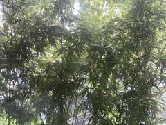 -一江水食府(后湖店)