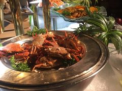 -圆顶阁西餐厅(郑州索菲特国际饭店 )