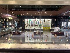 -青岛贝壳博物馆