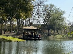 -上海共青森林公园