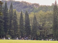 -深圳仙湖植物园