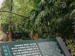 -鹅岭公园瞰胜楼