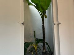 -西园寺素食(西园弄戒幢律寺店)