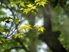 -周口店坡峰岭风景区