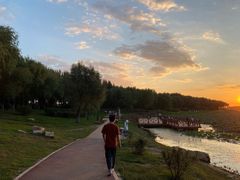 -丁香湖公园