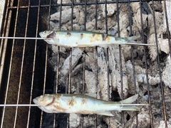 -楠溪江风景名胜区