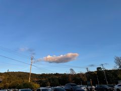 -云南野生动物园