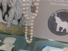 -纽瓦克自由国际机场