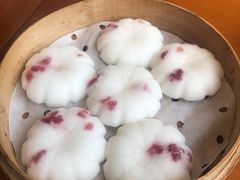 -鸽舞笙平金牌烧鸽子·融合菜(鲁谷店)