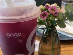 -gaga(深圳南山益田假日广场店)