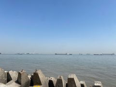 -上海滨江森林公园