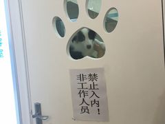 -芭比堂动物医院·24小时·眼科中心(深圳中心)