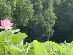 -嘉北郊野公园