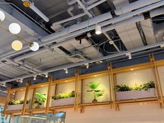 -翡翠拉面小笼包Crystal Jade(上海浦东国际机场T1店)