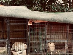 -小鱼草莓采摘园农家乐·小鱼餐厅
