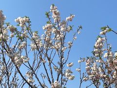 -观澜湖生态运动公社