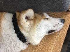 -YCHL Studios健身工作室(市二宫店)