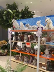 -IMON·HANSA潮玩玩偶毛绒玩具(通州万象汇店)