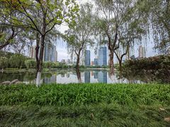 -后襄河公园