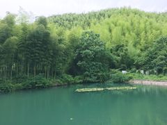 入口即可见-天下银坑