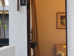 门面-云里小坐·小院里·团建·宴请·下午茶(三圣乡店)