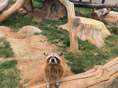 -大连森林动物园