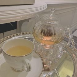 -奥斯芬欧系贵族SPA