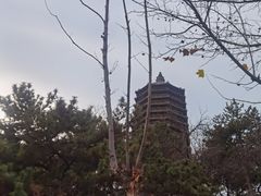 -玲珑塔公园