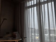 -深圳国际会展中心希尔顿酒店(前海华发冰雪世界店)