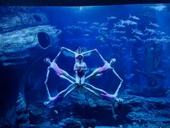 -多彩贵州城极地海洋世界