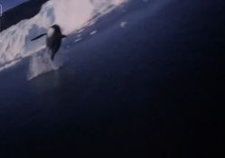 -翱翔飞越地平线