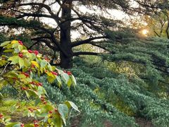 -国家植物园南园