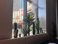 -玛尚诺Pizza&Bar(长泰广场店)