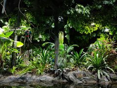 -江和美海洋公园