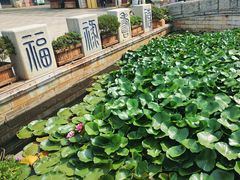 -云南民族村