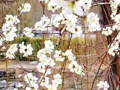 -安定门(地铁站)