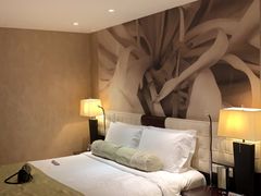 -国家会议中心大酒店