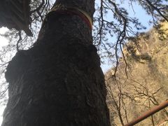-藏山旅游风景区