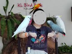 -吉隆坡雀鸟公园